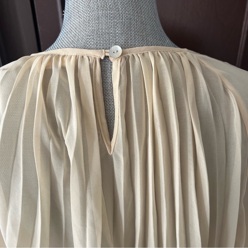 Meadow Rue Pleated Sheer Flyaway Blouse - Picture 9 of 12